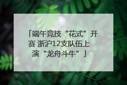 端午竞技“花式”开赛 浙沪12支队伍上演“龙舟斗牛”
